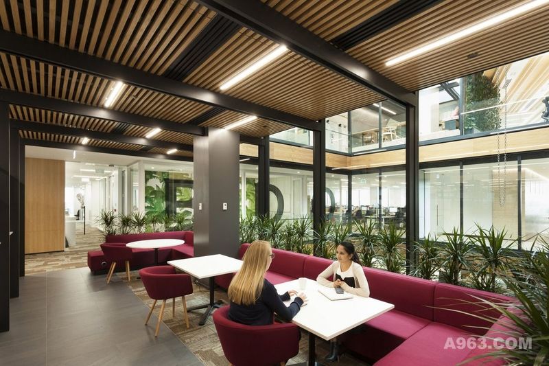 【库客设计】新西兰奥克兰会计BDO的新办公室