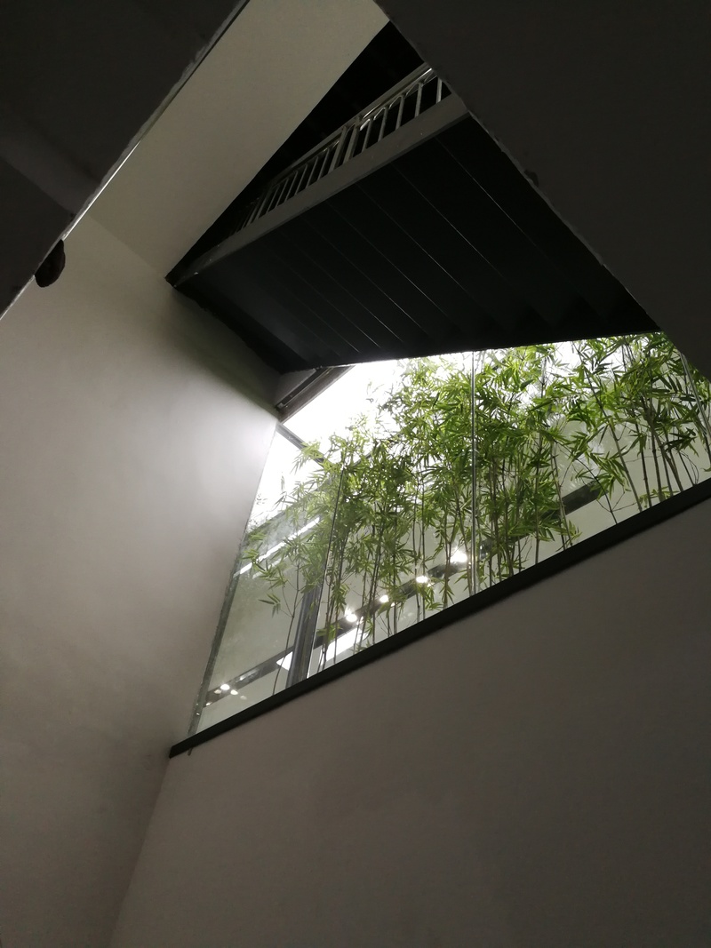 用高仿真竹林玻璃房区隔公、私边界，空间通透，生机盎然