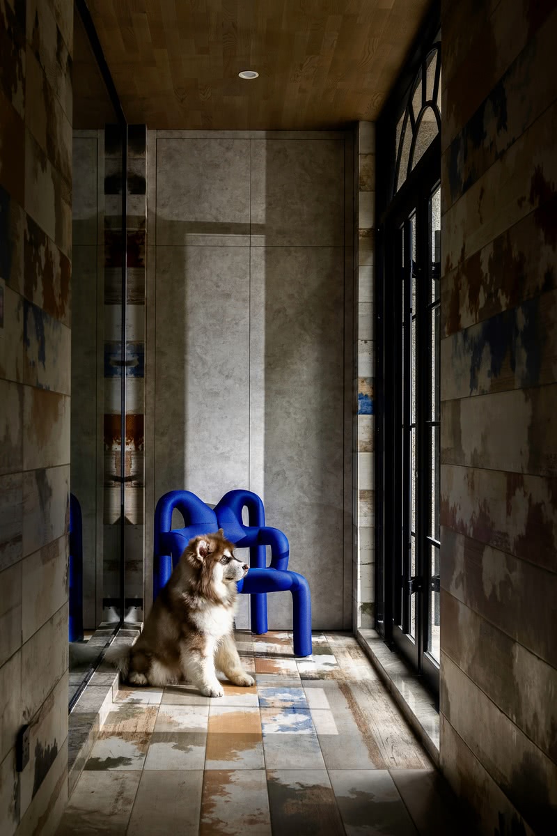 门厅采用自然纹理的墙砖和地砖，天然无瑕，一把造型独特的蓝色椅子增添几许趣味。范姐家的小阿拉斯加常常在这等着主任归家，一静一动，让整个空间在空灵中不失鲜活。
