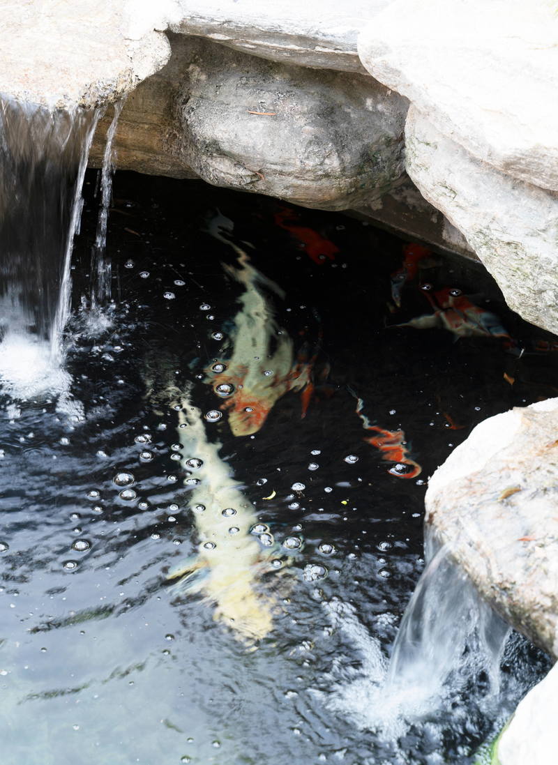 别墅里的鱼池必然少不了，不仅寓意着风生水起，发财锦鲤都可以带来财运和欢乐。