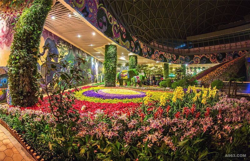 数千种云南珍贵花卉植物资源被陈列于博物馆中。 