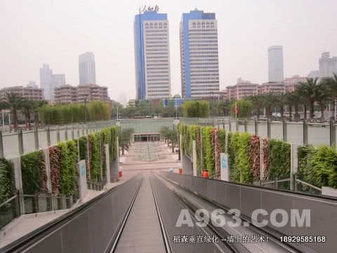 广州亚运植物墙