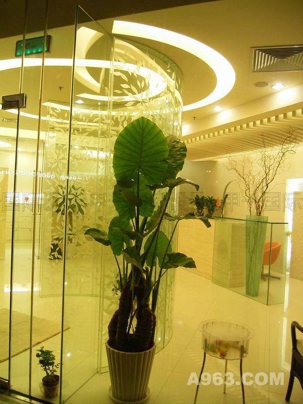 上海 专业 spa 美容院装修设计 美容院设计