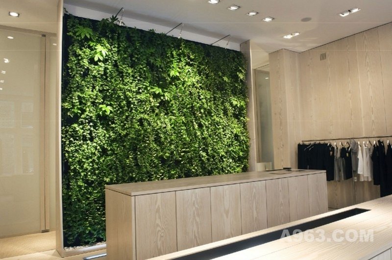 绿帘植物墙----生态绿色，完美材料