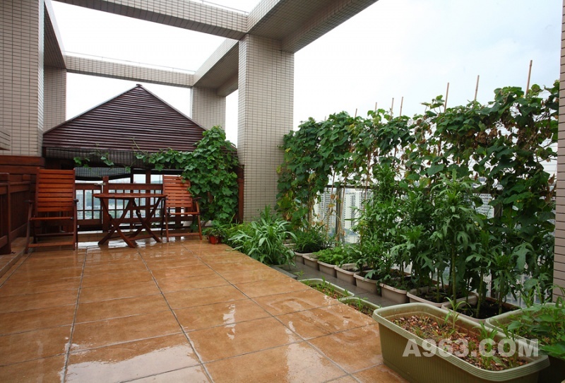 吴文熙（彪）别墅设计——屋顶菜园
