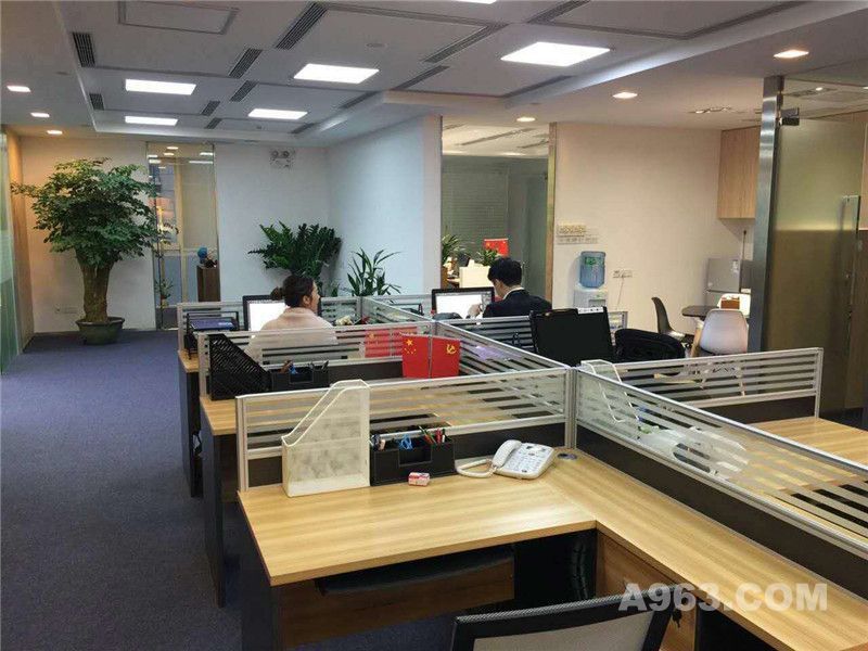 广华投资控股有限公司办公室装修设计--办公区实景图